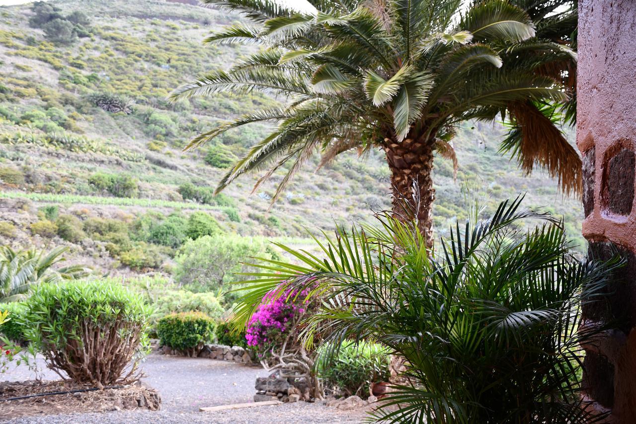 Haciendas Del Valle - Casa San Miguel Valle de Guerra Buitenkant foto