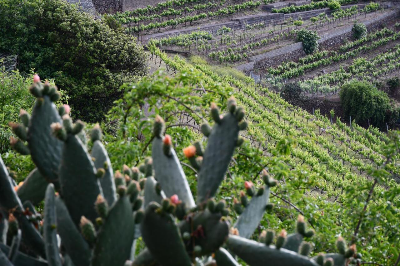 Haciendas Del Valle - Casa San Miguel Valle de Guerra Buitenkant foto